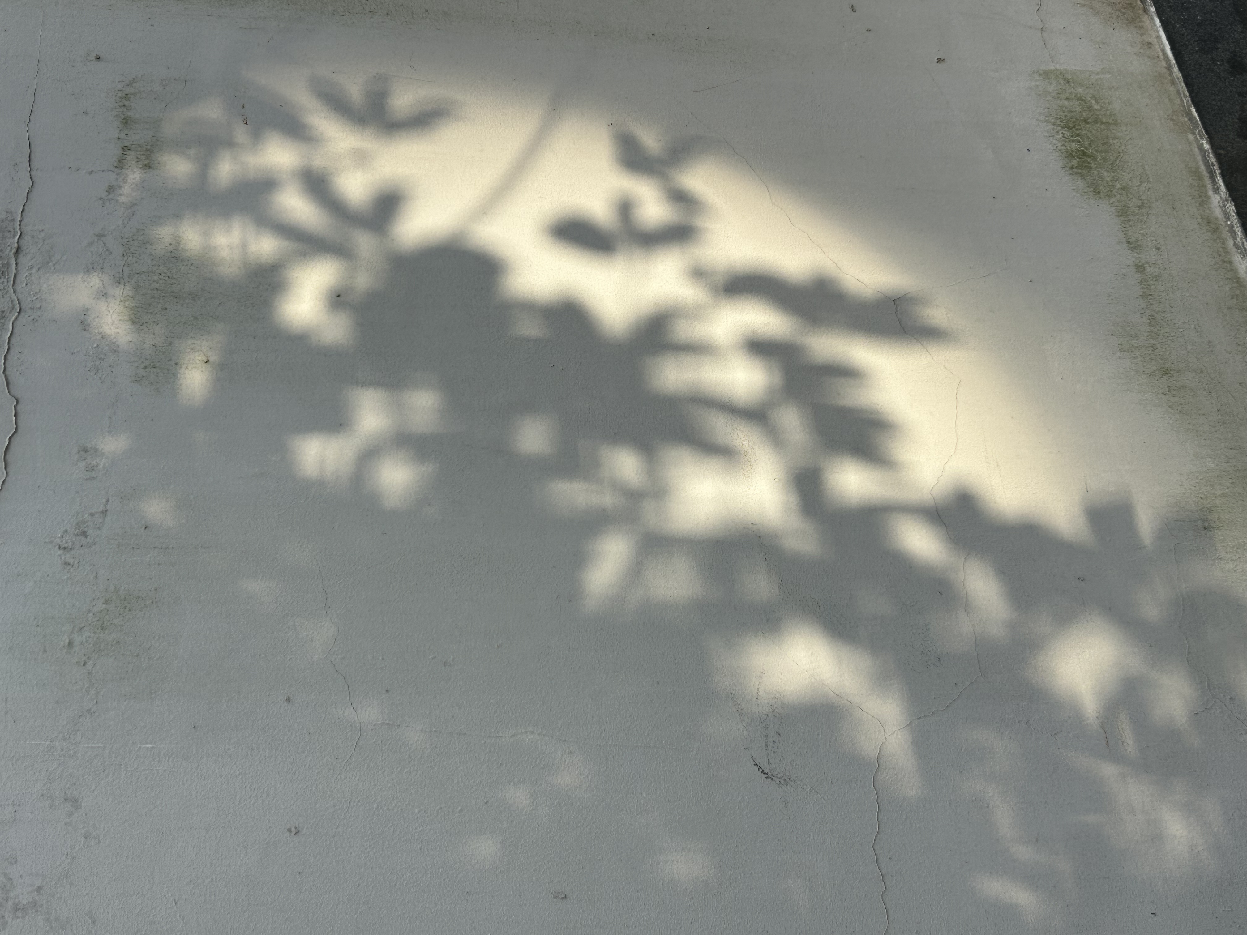 SandyCheng