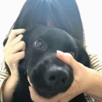 白斑馬黑斑馬