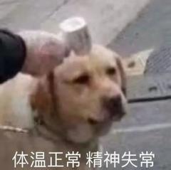 流光溢年