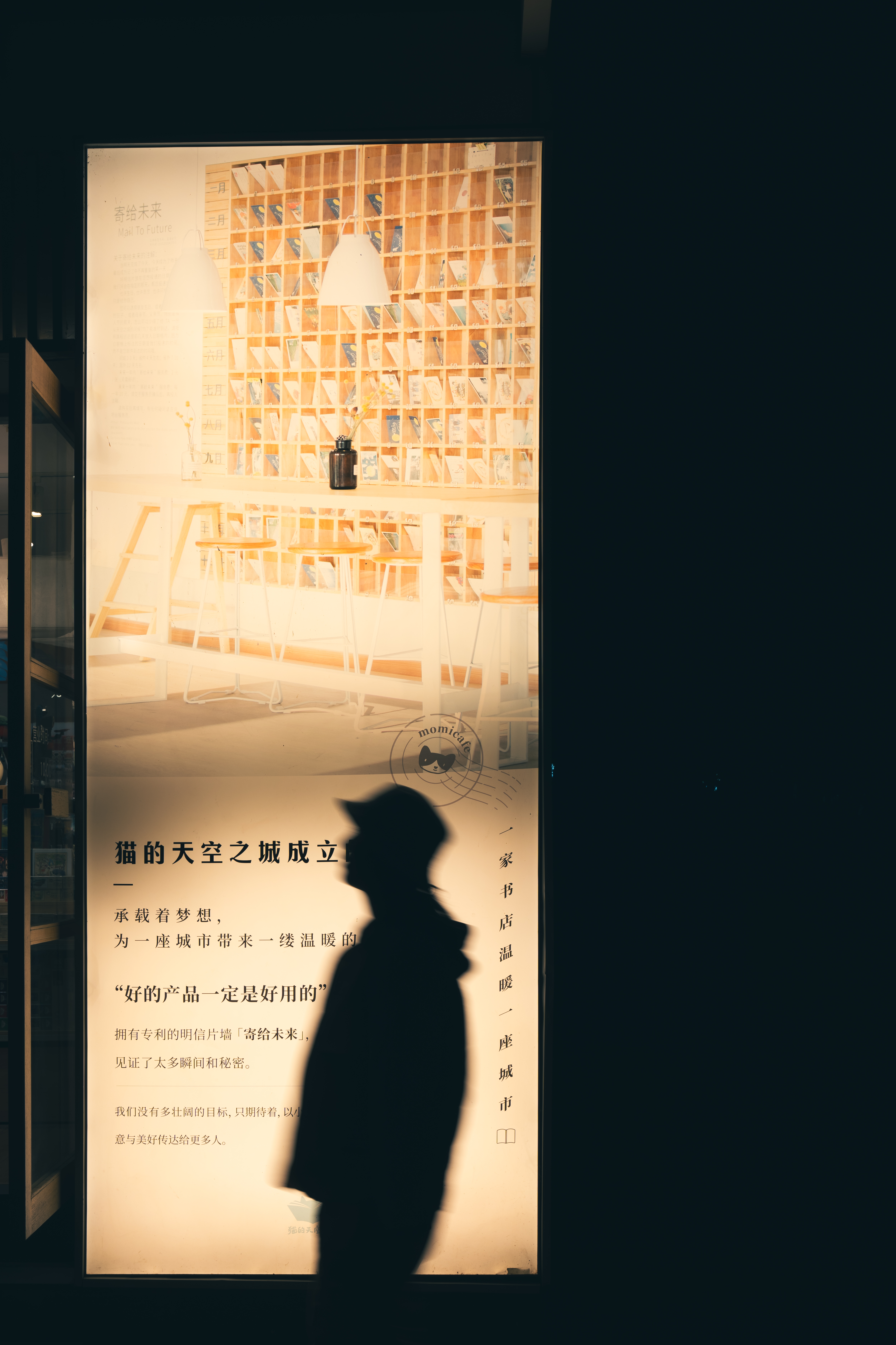 朱迪兔