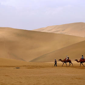 敦煌鸣沙山，沙漠里的骆驼