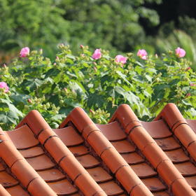 这样的屋顶在潮汕地区是比较有特色的，充满诗意。...