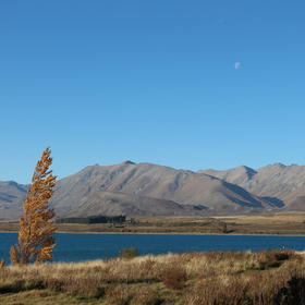 新西兰蒂卡波的秋色，恬静的午后，一个人行走在湖边，...