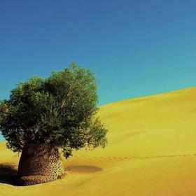 《守望沙漠》 拍摄于鸣沙山沙漠。