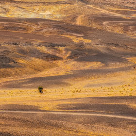 这是在撒哈拉沙漠地区小镇美尔祖卡附近荒地拍摄的。干...
