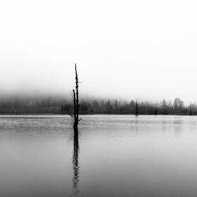 毕棚沟的早晨 大雾 周边看不到美景 只有静静的湖水 ...