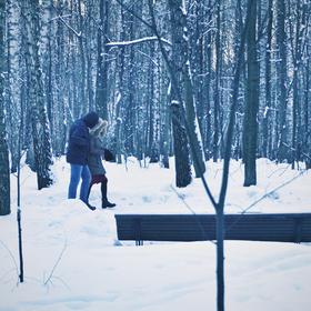 摄于莫斯科的森林公园,一对情侣走在林中，倚偎和细语让...