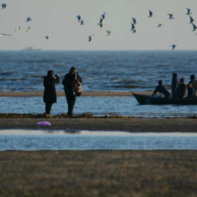 《一起看海鸥》摄于北戴河。