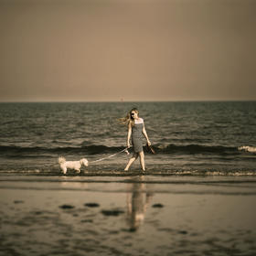 女人与狗，漫步海滩。