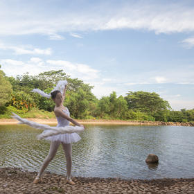 《芭蕾》
湖上芭蕾，以湖为舞台，以天为背景。...