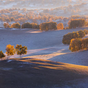 乌兰布统的秋季，地面和树上都结了一层霜，初升的太阳...