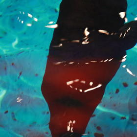 拍摄水下的海豹拍出了很奇幻的效果www