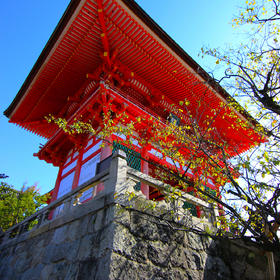 清水寺的色彩——摄于日本京都。