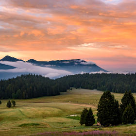 涂满朝霞的牧场--摄于法国阿尔卑斯山区。