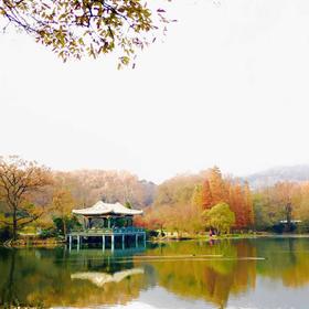 南京紫金山下水流榭的秋天，远处的山峦和水里的野鸭，...