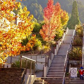 新西兰皇后镇，色彩艳丽的秋天景色