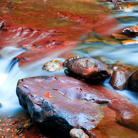 秋天拍水，水中红石红是能否代表秋意？