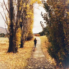 新西兰郊区一条不知名的小路，做了更加秋意浓浓的色调...
