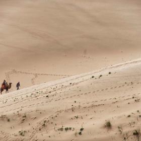 以前以为沙漠中水少骆驼多进沙漠才发现骆驼少，水多。...