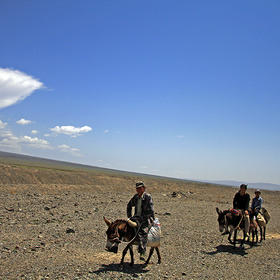 驴背上的一家人，很有生活气息的的画面。...