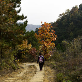 《下山小路》摄于禅林寺。