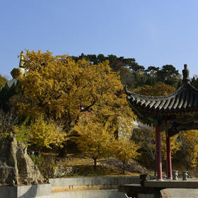 《禅林寺小景》摄于遵化。
