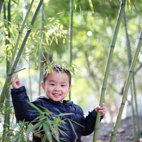 带儿子在公园玩，在竹林中玩的很开心，抓拍到一张自己...