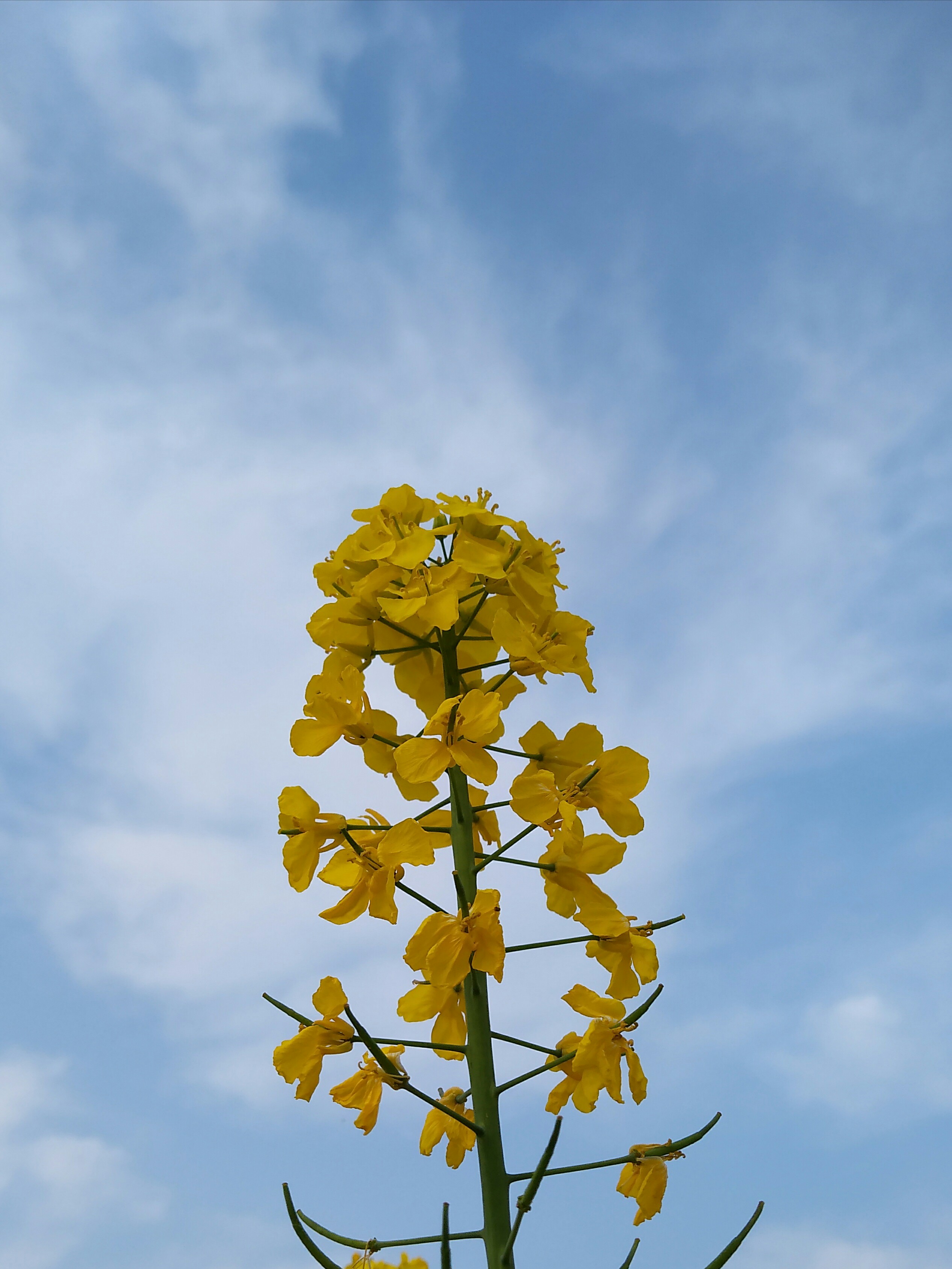 取景: 曝光:虚实:构图:后期: - 蓝色石头