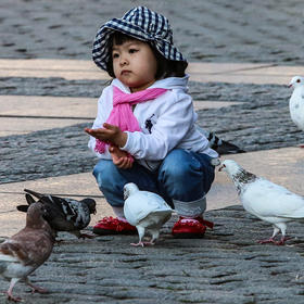 取景：哈尔滨索菲亚教堂，喂鸽子的小姑娘，童趣十足，...