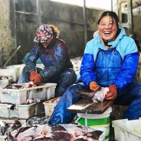 手机拍摄于台州石塘鱼市场