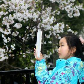三月和同学去看武大樱花，看到同学的孩子在专注的用pa...