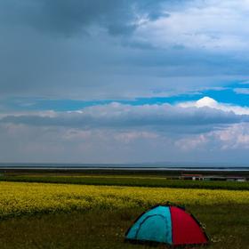 青海湖边，8月份去的，油菜花开的还挺好，还有一个帐篷...