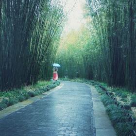 取景：16年去扬州个园，天有小雨，看见有翠竹幽径的感...