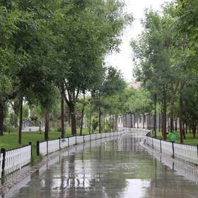 清晨，雨后的公园，空气清新，路面干净，给人一种清静...