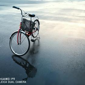 大雨过后，同事的自行车留下美丽的倒影。...