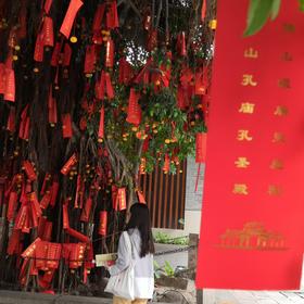 佛山祖庙中的孔圣许愿树 红色映满树梢，