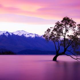 作品名称：《如梦亦如幻》
拍摄地点：新西兰瓦纳卡湖
...