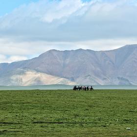 取景：摄影小白，因为一下被草原上远处一排骑马的游客...