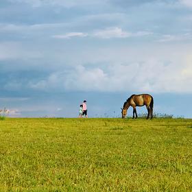 取景：海边有块草甸子，常年有匹供游人拍照和骑行的马...