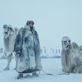 取景：内蒙古呼伦贝尔，一名男子牵着两头骆驼前来参加...