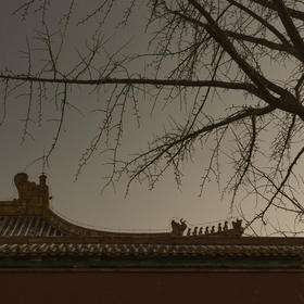 取景：北京初雪，故宫里一颗光秃秃的树和故宫的墙完美...