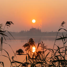 取景：在朱家角的湖边拍日出，可选的近景就是芦苇，远...