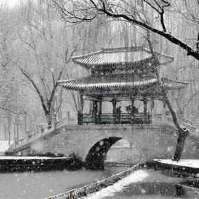 取景：北京的冬

曝光：

虚实：

构图：

后...