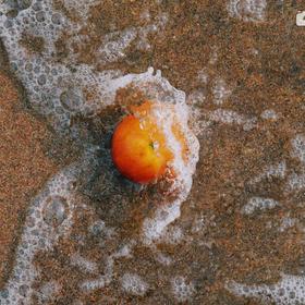 最满意的一张：海边的橘子