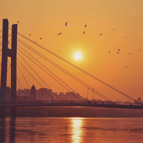 取景：海鸥，刘庄浮桥，早八点拍的。

曝光：

虚...
