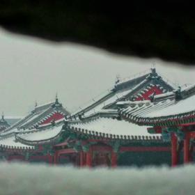 去年冬天，大雪纷飞的某天，拍摄于沈阳故宫。...