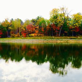 长白山万达小镇佛库伦湖的早晨，秋季的东北枫叶红了，...