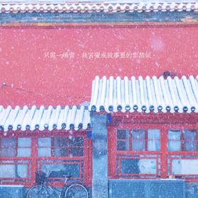 2015年11月22日，北京大雪，提前一晚预约了故宫之行，...