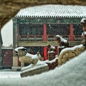 去年冬天，大雪纷飞的某天，拍摄于沈阳故宫。...