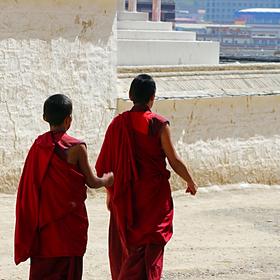 今年8月初拍摄于拉卜楞寺，拉卜楞寺位于甘肃省甘南藏族...